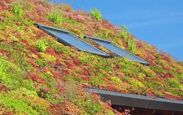 Carlecotes living roof systems