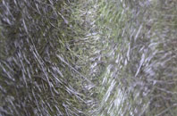 Carlecotes fibreglass roof work